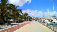Palma de Mallorca harbor.