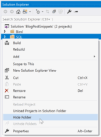 Visual Studio - Hide Solution Folder.